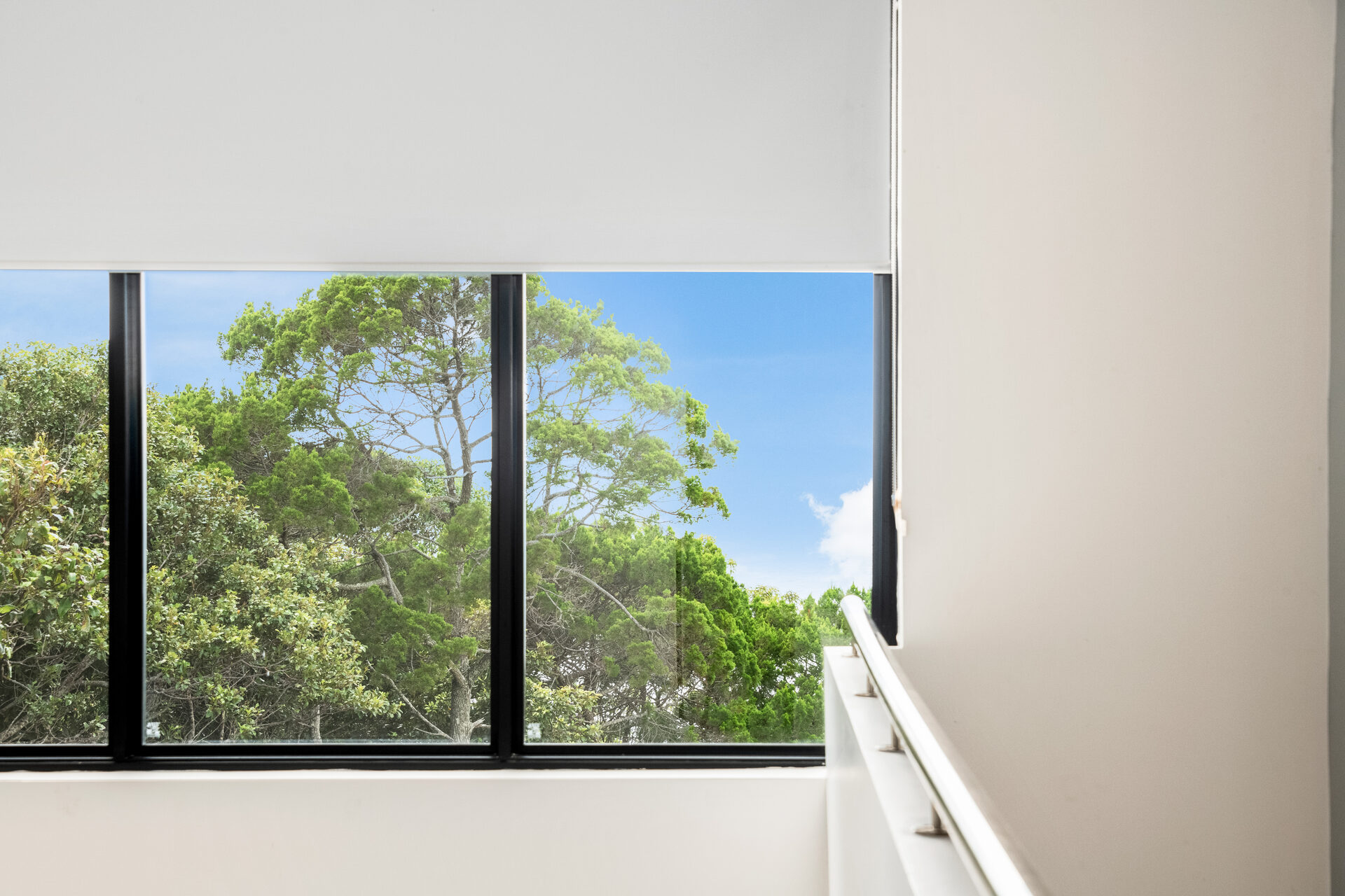 Upper level windows with treetop and sky views